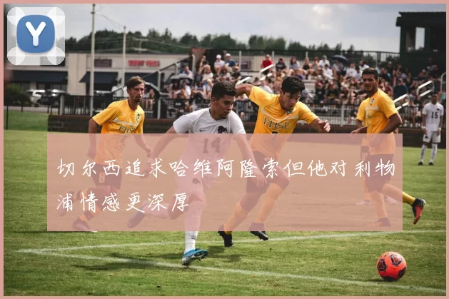 切尔西追求哈维阿隆索但他对利物浦情感更深厚
